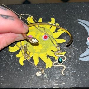 Lucky 🍀 Brand Snake 🐍 Charmer set